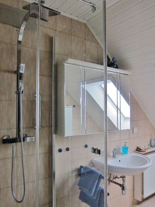 Regendusche und Spiegelschrank Regendusche und Spiegelschrank